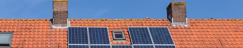 Dakinspectie Posterholt