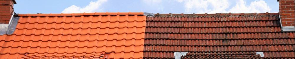 Nieuw dak in Posterholt